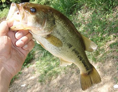 f0073059_12399.jpg