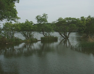 f0073059_13335.jpg