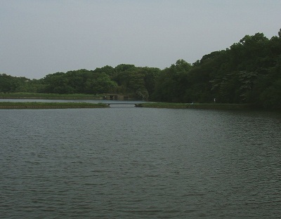 f0073059_135486.jpg