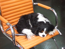 f0030875_03234.jpg