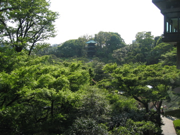 椿山荘_c0057381_10295769.jpg