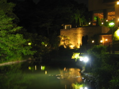 椿山荘_c0057381_1152018.jpg