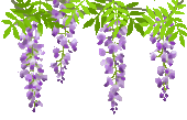 c0111581_21302246.gif