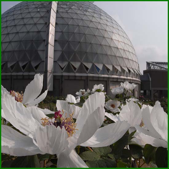 植物園にて_e0082981_22414020.jpg