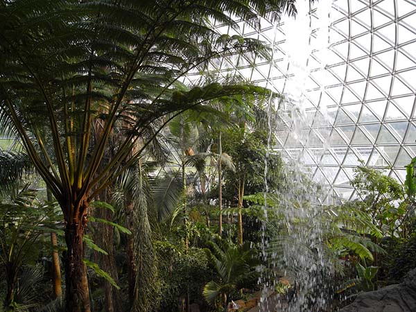 植物園にて_e0082981_22415645.jpg