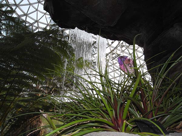 植物園にて_e0082981_2242995.jpg