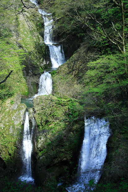 e0047682_18404111.jpg