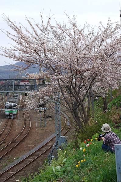 ふたり写真クラブ　桜と遊ぶ_a0086387_23172850.jpg