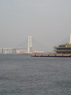 a0019592_09515.jpg