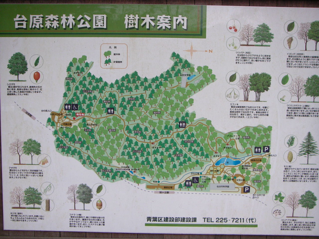 新緑の台原森林公園散歩_f0100593_14215599.jpg