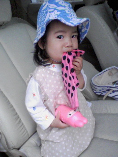 f0087001_74347.jpg
