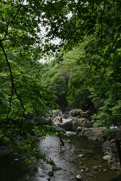 a0071507_08446.jpg