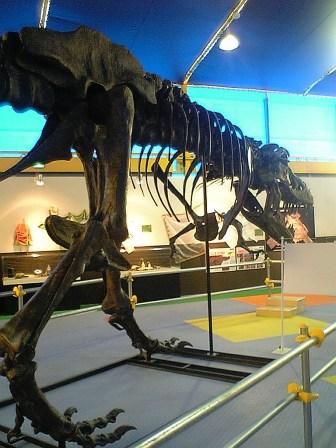 d0047107_13132328.jpg