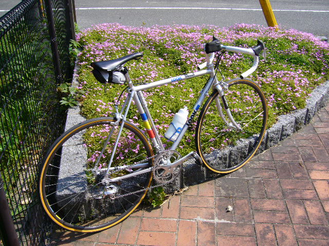 f0096008_16291069.jpg