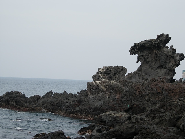 韓国・済州島旅行（その２）　観光_e0005411_14545352.jpg