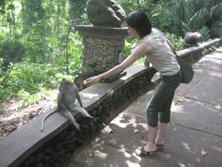 e0080117_0271478.gif