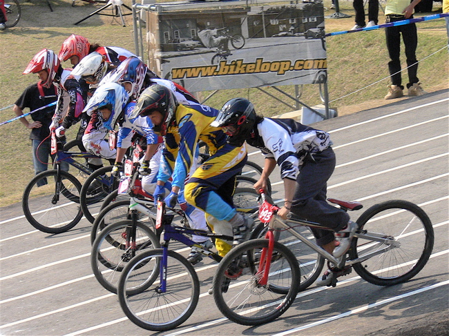 ２００７環太平洋BMX選手権大会IN 上越プレ大会VOL4ビギナー、クルーザークラス決勝画像垂れ流し_b0065730_20451944.jpg