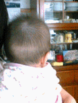 b0080033_0271388.gif