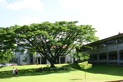Uh Hilo ハワイ大学ヒロ校 Tama流ハワイ島案内