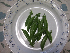 a0054240_738464.jpg