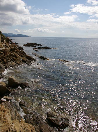 d0024242_041116.jpg