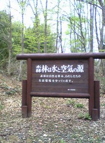 新芽、萌え出る_f0081443_23324852.jpg