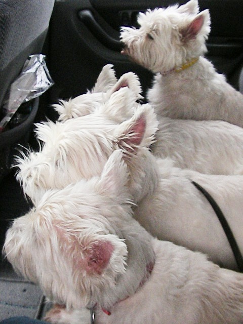 f0034444_14436.jpg