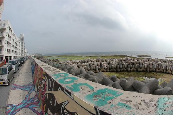 ５月４日(土) 沖縄本島_c0020054_22421745.jpg