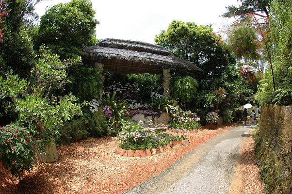 ５月４日(土) 沖縄本島_c0020054_2271941.jpg