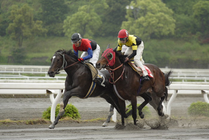 2007年5月6日（日） 高知競馬 1R_a0077663_18154926.jpg