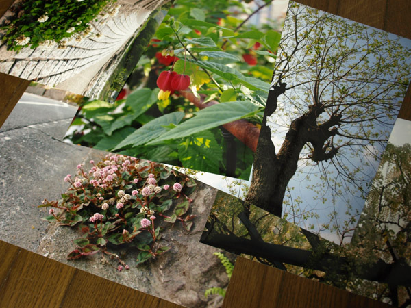 d0068664_20353831.jpg