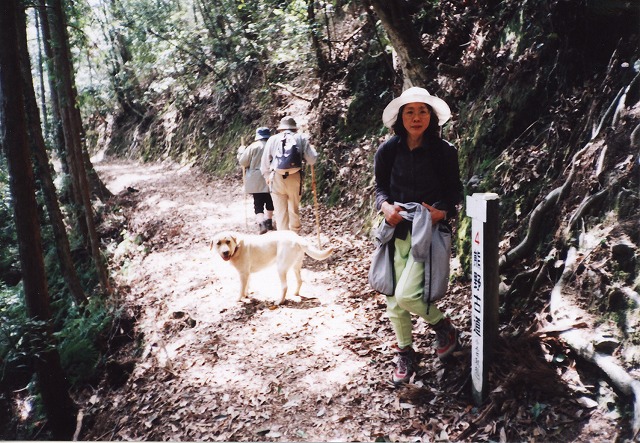 旅日記・熊野古道（大雲取越・小雲取越編）_f0129667_22224569.jpg