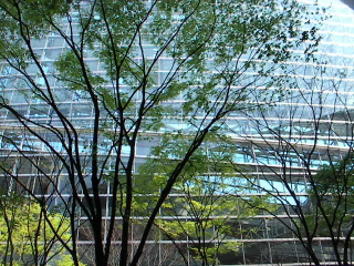 b0109874_7191785.jpg