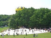 b0004675_94321.jpg