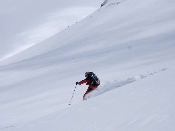 d0079579_1433365.jpg