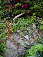 c0033992_13425610.jpg