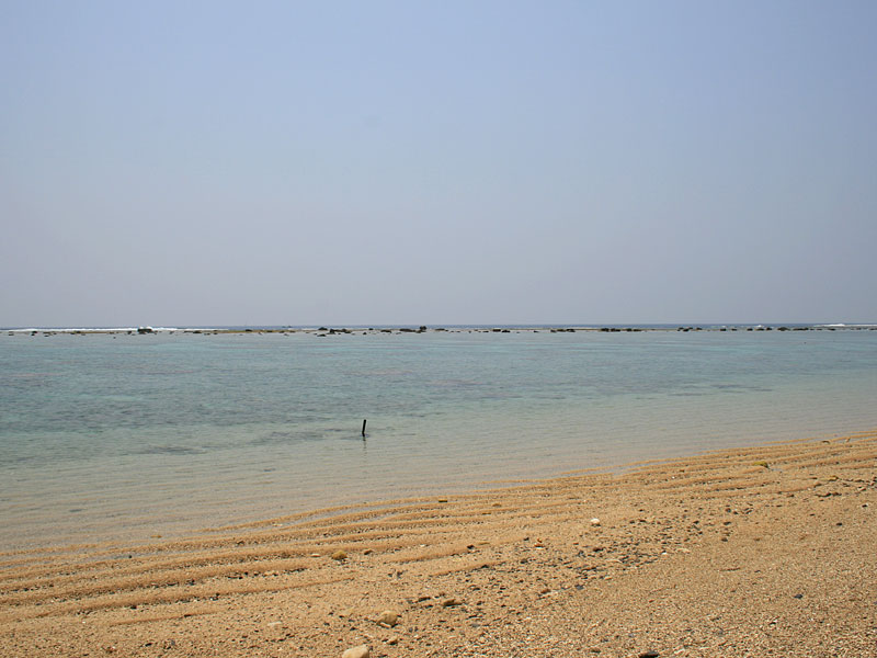 a0078698_16354086.jpg