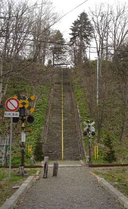 エゾエンゴサクとカタクリー浦臼神社（前編）_d0117900_179140.jpg