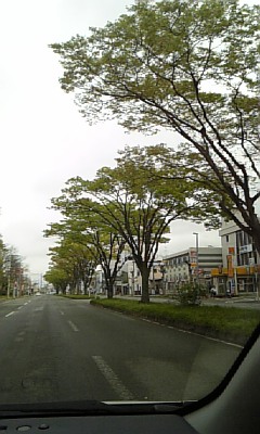 d0005807_765089.jpg