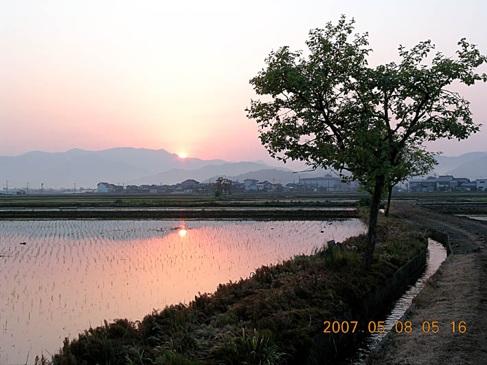 c0078410_713308.jpg