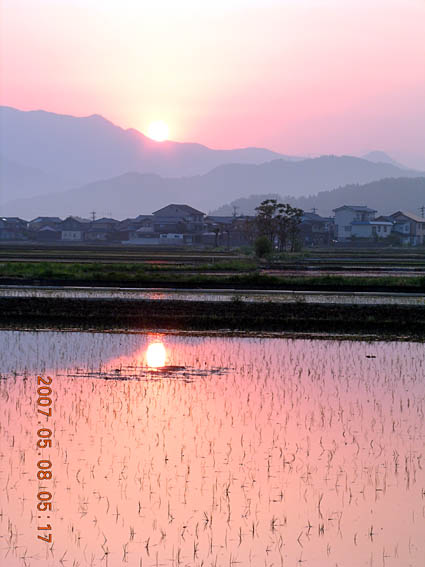 c0078410_7135765.jpg