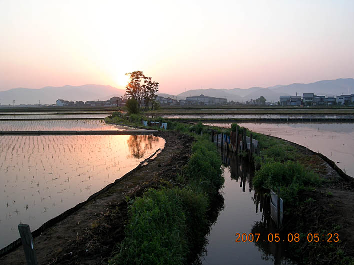 c0078410_7152626.jpg