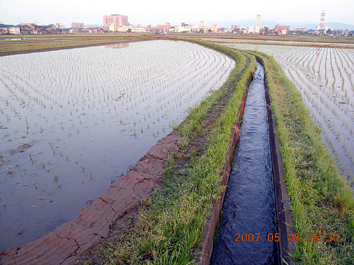 c0078410_716215.jpg