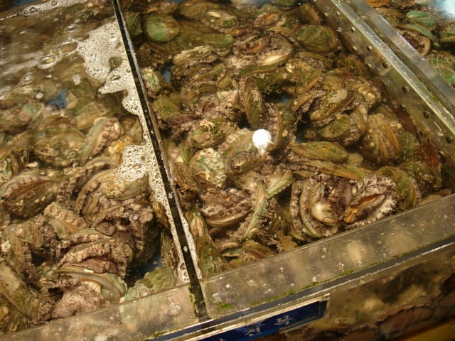 e0005411_1432429.jpg