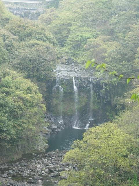 e0005411_1550537.jpg