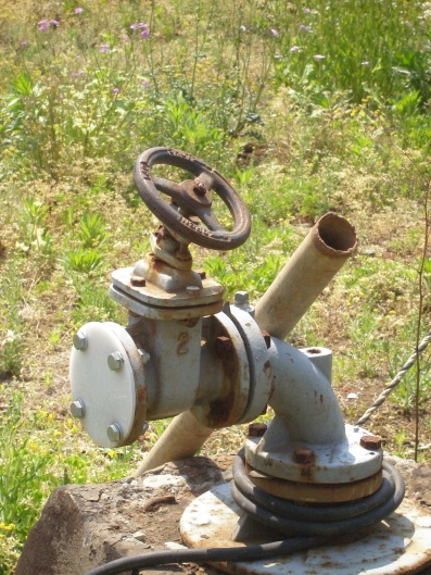 e0083212_1655666.jpg
