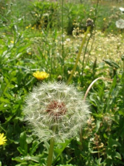 e0083212_1661177.jpg