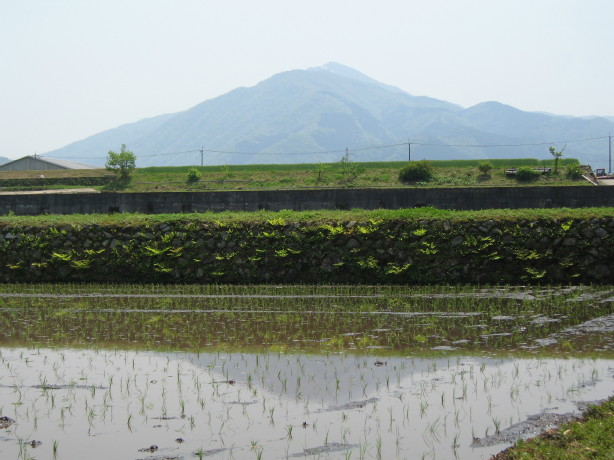 田植え_d0103314_22265638.jpg