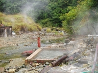 大湯温泉　阿部旅館　　～秋田湯沢市～_c0055515_095668.jpg