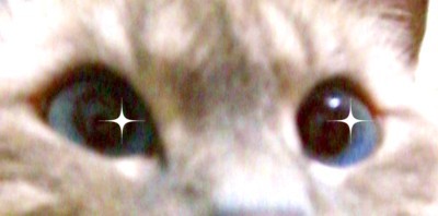 今日はお友達の為に!!_c0006826_2023650.jpg